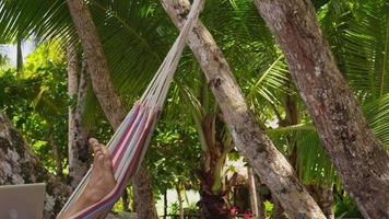 Man sitting in hammock using laptop computer, Costa Rica. Shot on RED EPIC for high quality 4K, UHD, Ultra HD resolution. video