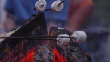 Family roasting marshmallows by outdoor fire. Shot on RED EPIC for high quality 4K, UHD, Ultra HD resolution. video
