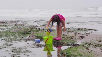 spelende kinderen op het strand. geschoten op rood episch voor hoge kwaliteit 4k, uhd, ultra hd-resolutie. video