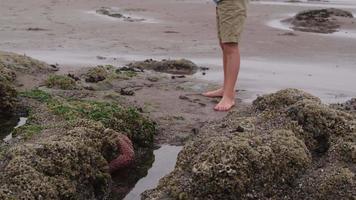 Young boy looking at tide pool. Shot on RED EPIC for high quality 4K, UHD, Ultra HD resolution. video