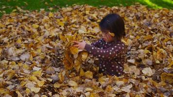 bambini che giocano in foglie d'autunno. girato in rosso epico per una risoluzione 4k, uhd, ultra hd di alta qualità.