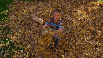 colpo dall'alto di bambini che giocano in foglie d'autunno. girato in rosso epico per una risoluzione 4k, uhd, ultra hd di alta qualità. video