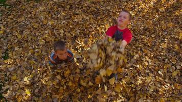 garçons jetant des feuilles d'automne. tourné sur red epic pour une résolution 4k, uhd, ultra hd de haute qualité. video