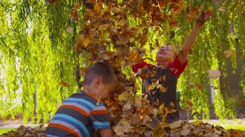 niños jugando en hojas de otoño. filmado en rojo épico para una resolución de alta calidad de 4k, uhd, ultra hd. video
