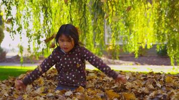 niños jugando en hojas de otoño. filmado en rojo épico para una resolución de alta calidad de 4k, uhd, ultra hd. video