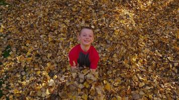 tiro aéreo de crianças brincando nas folhas de outono. filmado em vermelho épico para alta qualidade 4k, uhd, resolução ultra hd. video