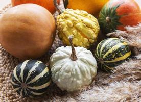 Autumn composition with assorted pumpkins photo