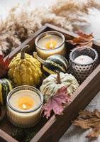 Autumn composition with assorted pumpkins photo