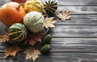 Autumn composition with assorted pumpkins photo