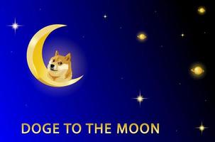 dogecoin al fondo de la luna. el símbolo de la bandera dogecoin al espacio, vector eps 10