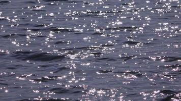 Sunlight Glitters in Ocean Waves video