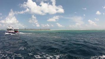 se déplaçant dans l'océan aux maldives video