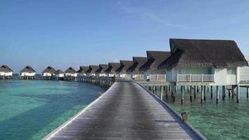 tropical beach and sea with bungalow in Maldives video