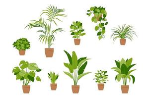 Collection home plants. Potted plants isolated on white. vector