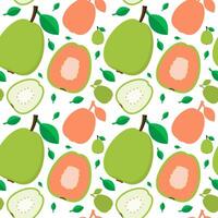 Guava fresh fruit seamless abstract pattern on white background vector