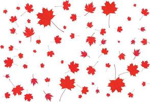 Canada Day maple leaves background. vector