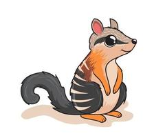 ilustración de animales australianos de dibujos animados numbat vector