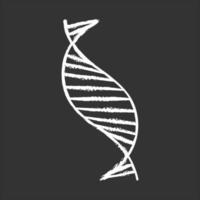 DNA spiral strand chalk icon vector