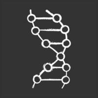 DNA helix chalk icon vector