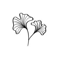 Ginkgo leaf hand draw vintage clip line art isolated vector