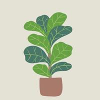 Doodle freehand sketch drawing of fiddle leaf fig tree. vector