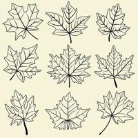 Collection of simplicity maple leaf freehand drawing flat design. vector