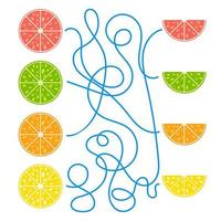 A tangled simple isolated labyrinth of ropes. Find the way from the fruit to his half. vector