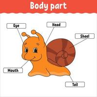 Body part. Learning words. Education developing worksheet. Activity page for study English. Game for children. Funny character. Isolated vector illustration. Cartoon style.