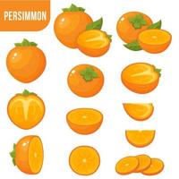 Set of fresh whole, half, cut slice persimmon fruits isolated on white vector