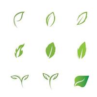 logotipos de vector de elemento de naturaleza ecología de hoja verde