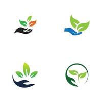 hand leaf logo vector