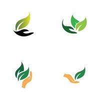 hand leaf logo vector