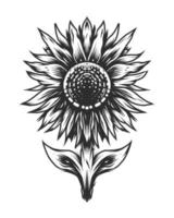 flor de sol vintage en estilo monocromo aislado vector