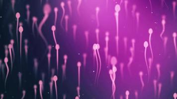 Animation sperm cell swimming