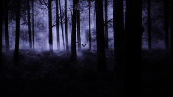 halloween bos achtergrond video