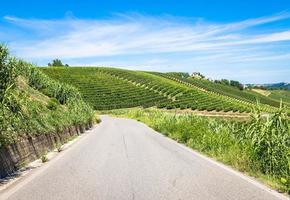 Piedmont hills in Italy with scenic countryside, vineyard field and blue sky photo