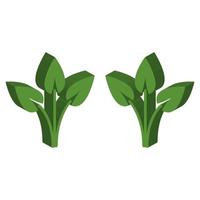 Plant Illustrated On White Background vector