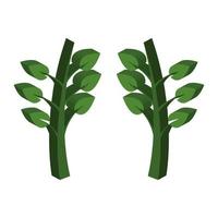 Plant Illustrated On White Background vector