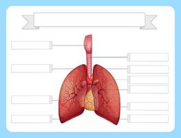 estructura de la plantilla de hoja de trabajo de los pulmones vector