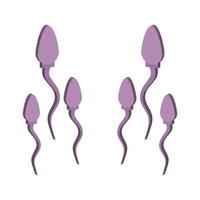 Sperm Illustrated On White Background vector