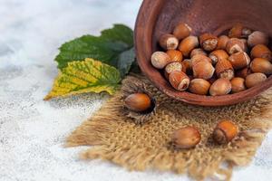 Hazelnuts on a light background with green leaves photo