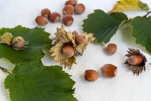 Hazelnuts on a light background with green leaves photo