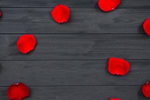 Red rose petals on wooden background. photo