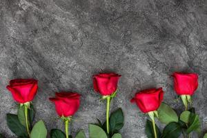 hermosas rosas rojas y frescas sobre un fondo gris foto