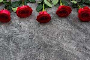 Red roses on gray background, colorkey effect. photo