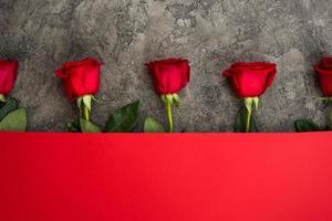 Fesh roses of dark red color lie on a table on a dark red background. A gift for a loved one photo