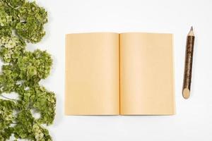 open notebook next to a pencil lie on a background with a green branch photo