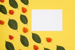 white sheet  lie on a yellow background with a pattern green leafs and physalis photo