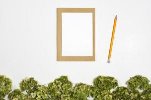 white sheet under on  notebook next to a pencil lie on a background with a green branch photo