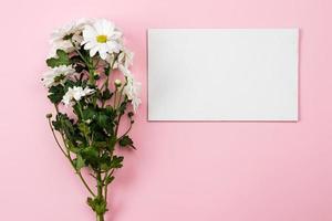 Fresh camomiles  and empty white sheet on pink background. - Copy space rigth photo